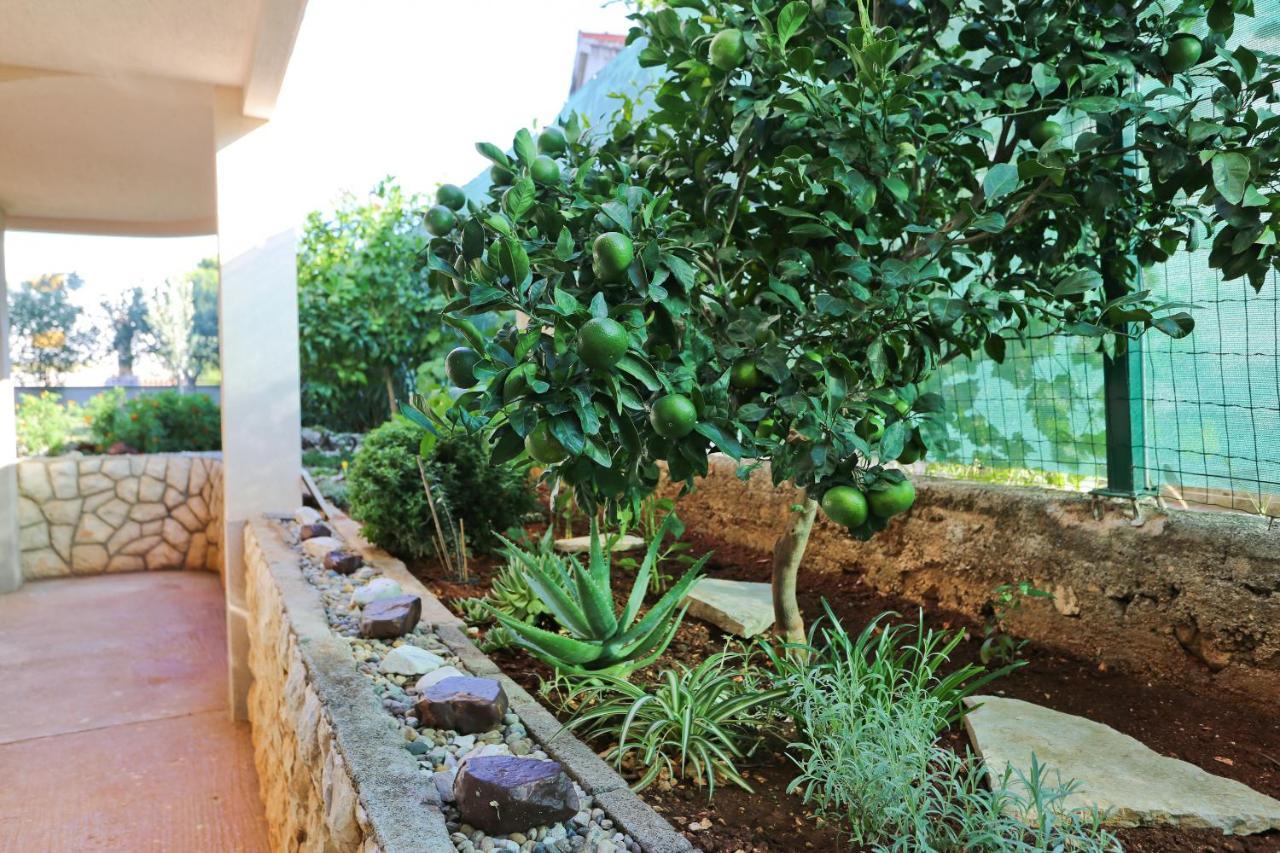 Apartman Dani Zadar Exterior photo